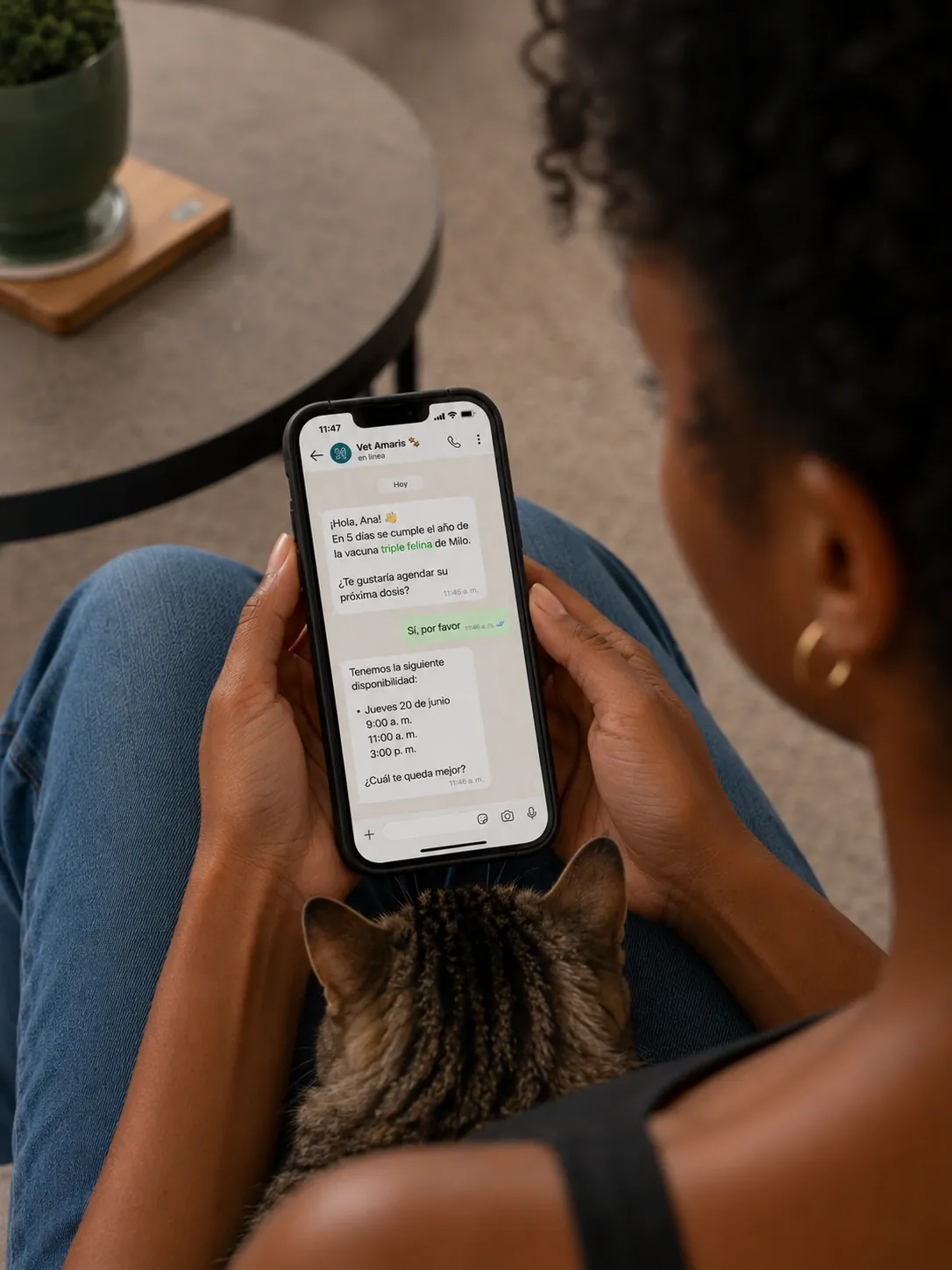 Una tutora lee por WhatsApp el recordatorio de vacunación de su gato, con la mascota en el regazo.